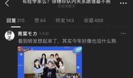 韩娱吃瓜娱乐圈百度网盘,百度网盘带你探秘娱乐圈幕后故事