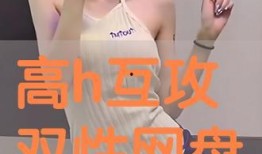 h动漫在线,探索奇幻世界，畅游青春记忆